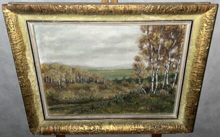 BŘÍZY U CESTY NA PODZIM - RŮŽIČKA