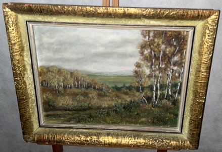 BŘÍZY U CESTY NA PODZIM - RŮŽIČKA