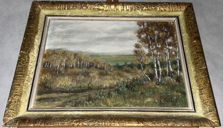 BŘÍZY U CESTY NA PODZIM - RŮŽIČKA