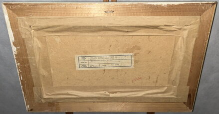 ZIMNÍ STARÁ HLÍNA - KRAHULÍK EVANGELISTA JAN