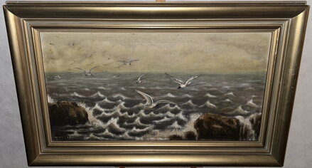 RACKOVÉ NAD MOŘEM - RŮŽIČKA A.