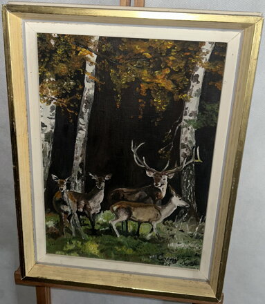 JELEN A SRNY MEZI BŘÍZAMI - ČERNÝ K.