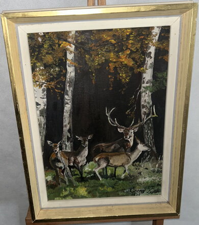 JELEN A SRNY MEZI BŘÍZAMI - ČERNÝ K.