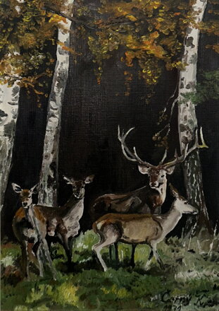 JELEN A SRNY MEZI BŘÍZAMI - ČERNÝ K.