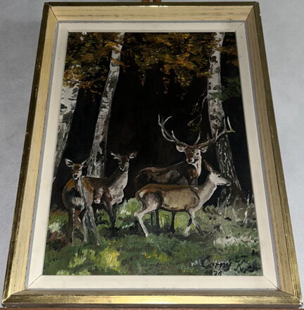 JELEN A SRNY MEZI BŘÍZAMI - ČERNÝ K.