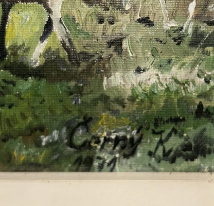 JELEN A SRNY MEZI BŘÍZAMI - ČERNÝ K.