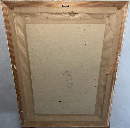 JELEN A SRNY MEZI BŘÍZAMI - ČERNÝ K.