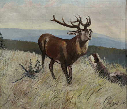 JELEN V ŘÍJI - SIGNOVÁN