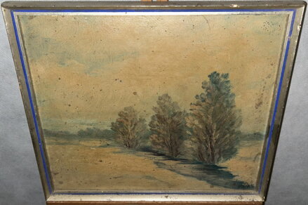 KRAJINA SE STROMY - HÁJEK