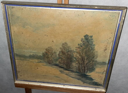 KRAJINA SE STROMY - HÁJEK