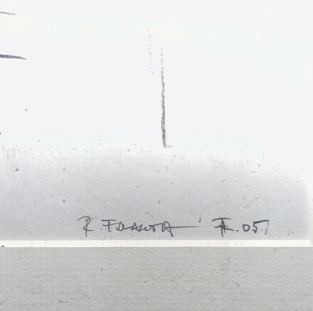 DVOJČATA - ROMAN FRANTA