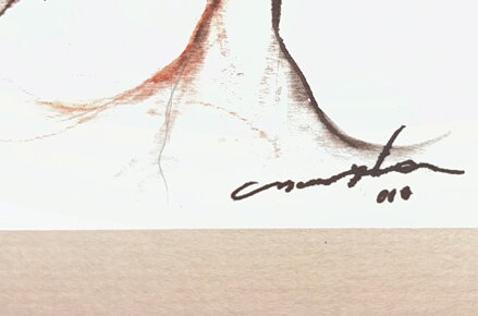 AKT, NAHÁ V GESTU - SIGNOVÁN