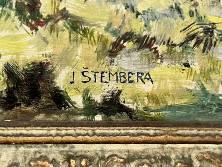 SNOPY NA POLI - ŠTEMBERA JOSEF SNOPY NA POLI - ŠTEMBERA JOSEF