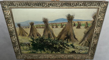 SNOPY NA POLI - ŠTEMBERA JOSEF SNOPY NA POLI - ŠTEMBERA JOSEF