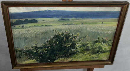 POLE V KRAJINĚ - ŠTEMBERA JOSEF POLE V KRAJINĚ - ŠTEMBERA JOSEF