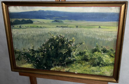 POLE V KRAJINĚ - ŠTEMBERA JOSEF POLE V KRAJINĚ - ŠTEMBERA JOSEF