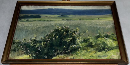 POLE V KRAJINĚ - ŠTEMBERA JOSEF POLE V KRAJINĚ - ŠTEMBERA JOSEF