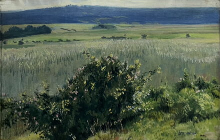 POLE V KRAJINĚ - ŠTEMBERA JOSEF POLE V KRAJINĚ - ŠTEMBERA JOSEF