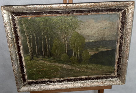 BŘEZOVÝ HÁJ NA KOPCI - TRINKMOC LADISLAV