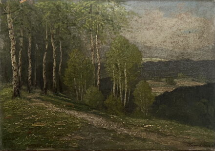 BŘEZOVÝ HÁJ NA KOPCI - TRINKMOC LADISLAV