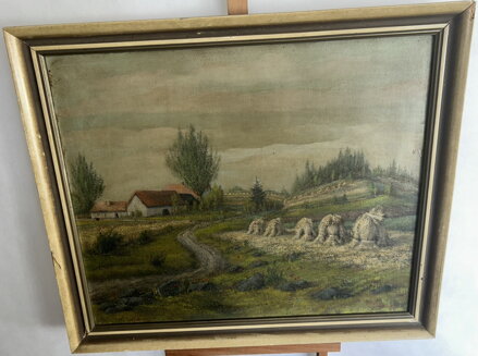 SNOPY POD STATKEM - BRÁZDA J.