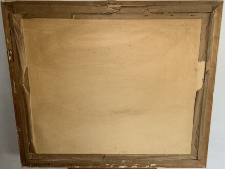 SNOPY POD STATKEM - BRÁZDA J.