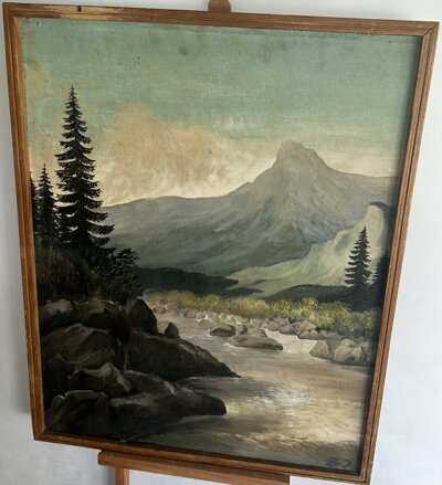 TICHÝ TOK POD ŠTÍTEM - SIGNOVÁN