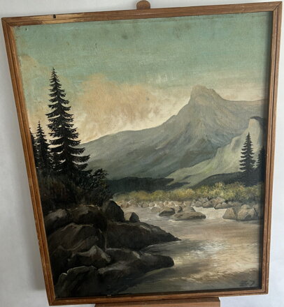 TICHÝ TOK POD ŠTÍTEM - SIGNOVÁN