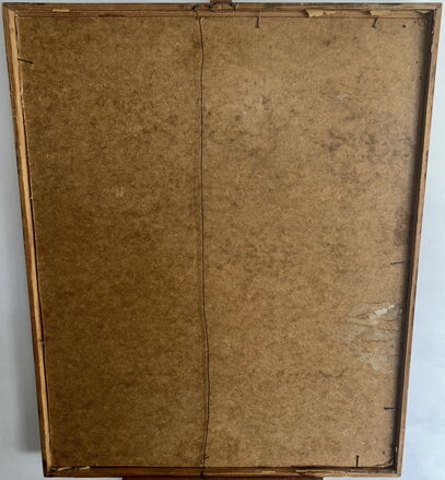 TICHÝ TOK POD ŠTÍTEM - SIGNOVÁN