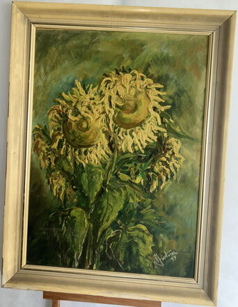 ÚKLON SLUNEČNIC - JÜPTNER A.