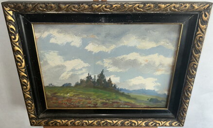 REMÍZEK NA KOPCI - NOVÁK V.