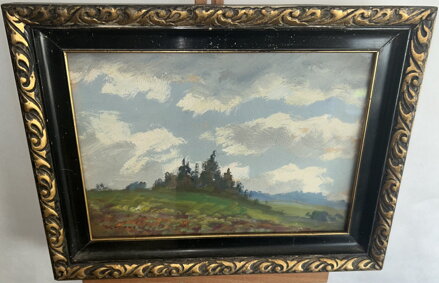 REMÍZEK NA KOPCI - NOVÁK V.