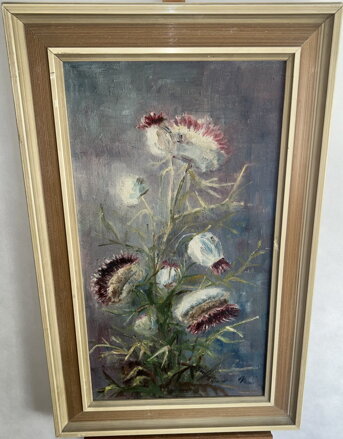 ZÁŘIVÉ BODLÁKY - SIGNOVÁN