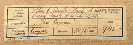 POD KOPCEM - HAUK V. J. STANĚK VILÉM FRANTIŠEK