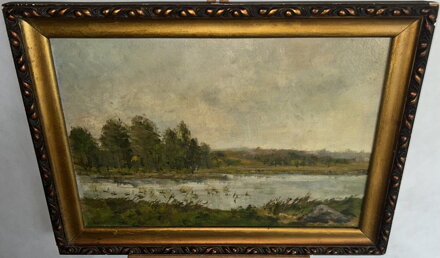 NA STARÉM LABI - KRAHULÍK JAN