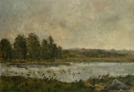 NA STARÉM LABI - KRAHULÍK JAN