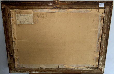 NA STARÉM LABI - KRAHULÍK JAN