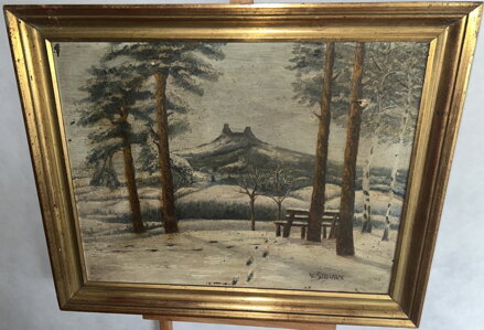 TROSKY V DÁLI V ZIMĚ - ŠILHAVÝ VLADIMÍR