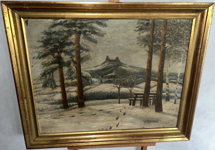 TROSKY V DÁLI V ZIMĚ - ŠILHAVÝ VLADIMÍR