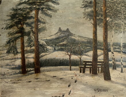 TROSKY V DÁLI V ZIMĚ - ŠILHAVÝ VLADIMÍR