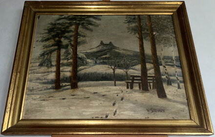 TROSKY V DÁLI V ZIMĚ - ŠILHAVÝ VLADIMÍR