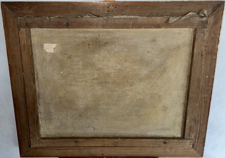 TROSKY V DÁLI V ZIMĚ - ŠILHAVÝ VLADIMÍR