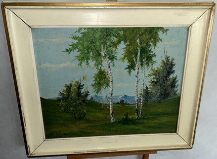 BŘÍZY - CHOCHOLA OTTA