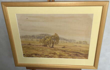 STROMY V KRAJINĚ - ŠKUDLA RUDOLF