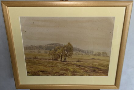 STROMY V KRAJINĚ - ŠKUDLA RUDOLF