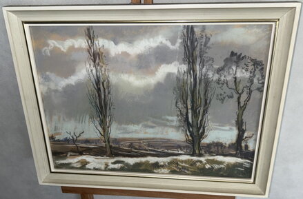 TOPOLY - MORÁVEK P.