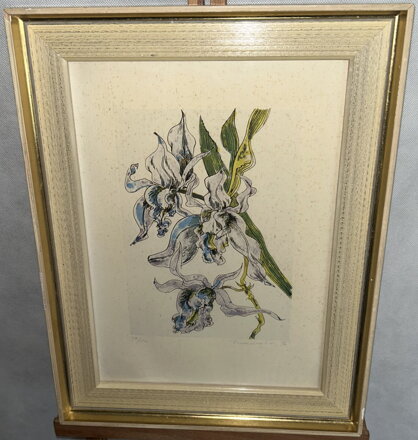 ORCHIDEJ - SIGNOVÁN