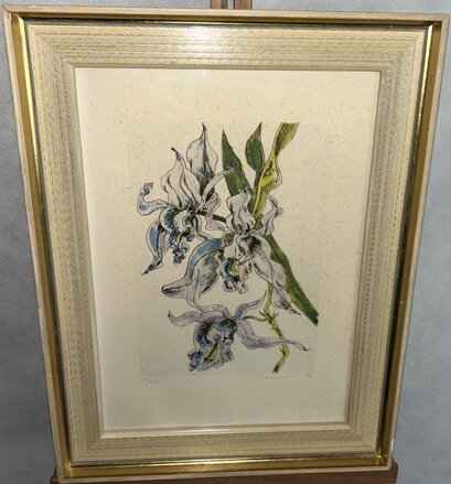 ORCHIDEJ - SIGNOVÁN