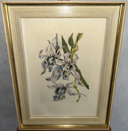 ORCHIDEJ - SIGNOVÁN