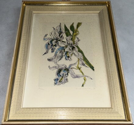 ORCHIDEJ - SIGNOVÁN